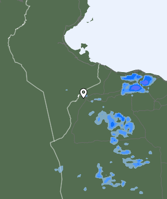 Niederschlagsprognose