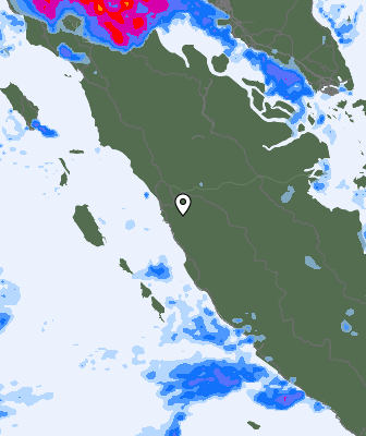 Niederschlagsprognose