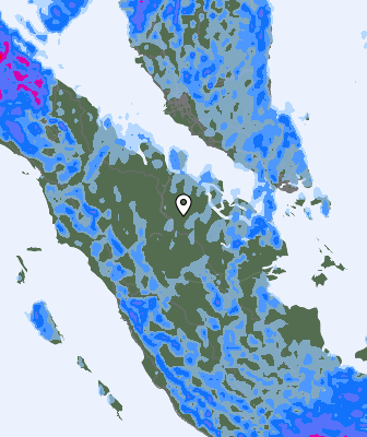 Precipitação