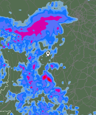 Niederschlagsprognose