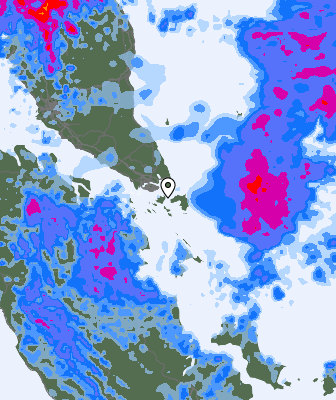 Niederschlagsprognose