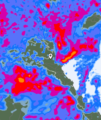 Precipitazioni