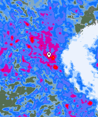 Precipitazioni