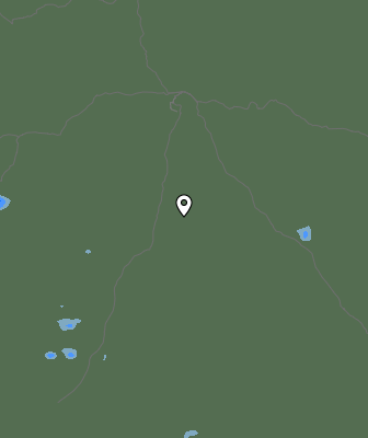 Валежи