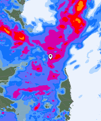 Precipitazioni