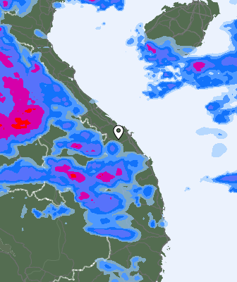 Precipitazioni