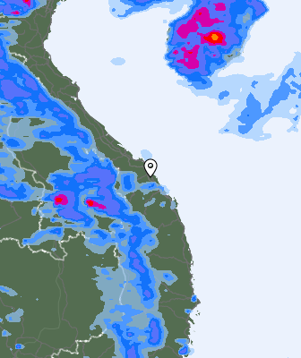Precipitazioni