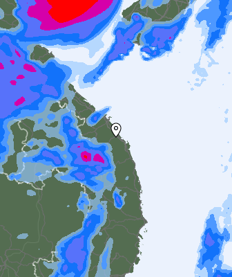 Precipitazioni