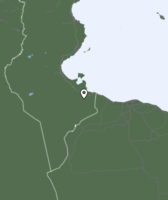Neerslag
