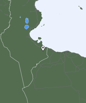Neerslag