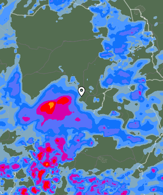 Niederschlagsprognose