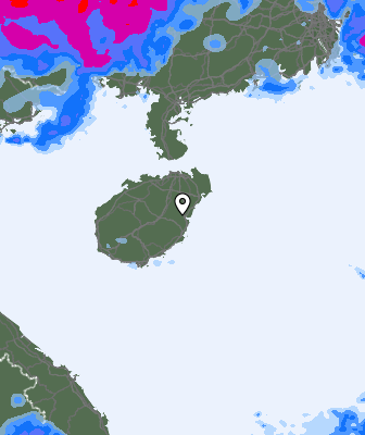 Niederschlagsprognose