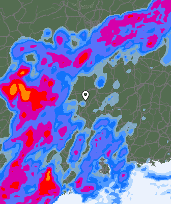 Niederschlagsprognose