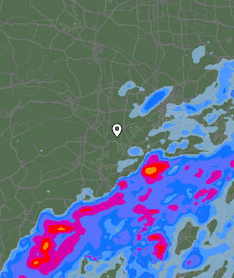 Niederschlagsprognose