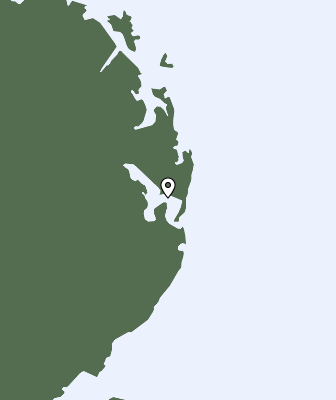 Niederschlagsprognose