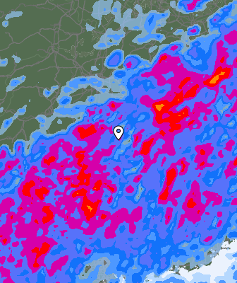 Niederschlagsprognose