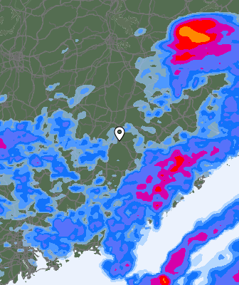Niederschlagsprognose
