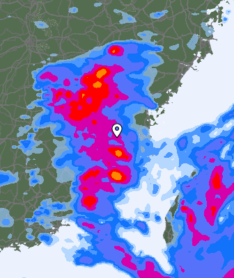 Niederschlagsprognose