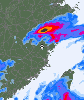 Niederschlagsprognose