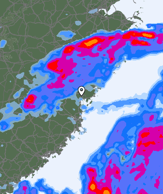 Niederschlagsprognose