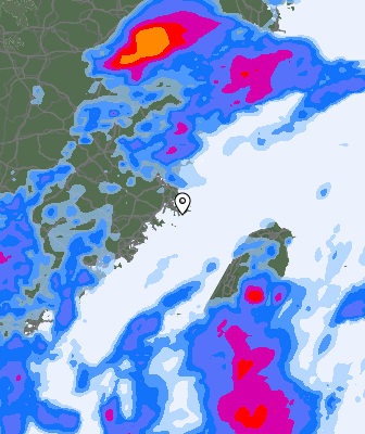 Niederschlagsprognose