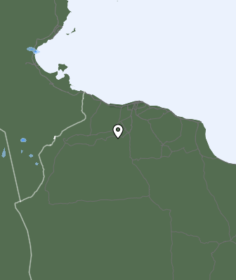 Niederschlagsprognose