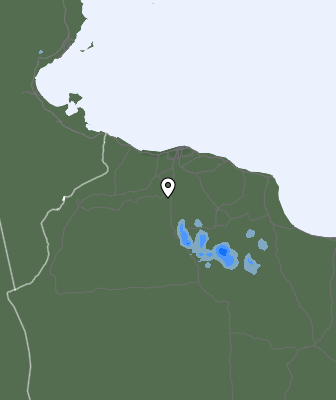 Precipitazioni