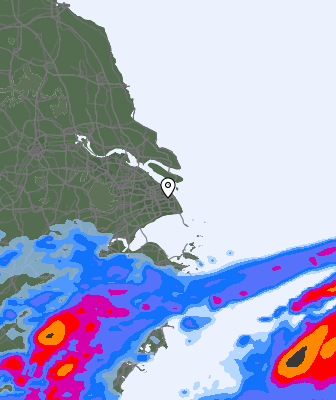 Niederschlagsprognose