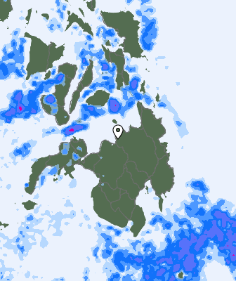 Niederschlagsprognose