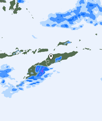 Niederschlagsprognose