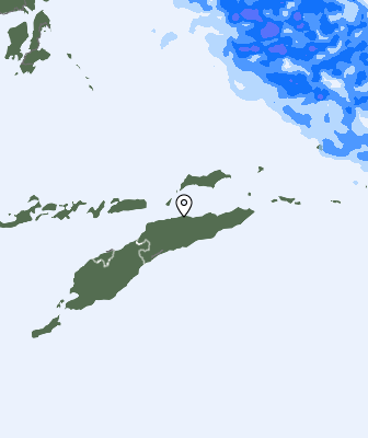 Niederschlagsprognose