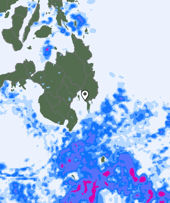 Niederschlagsprognose