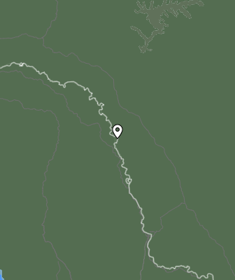 Niederschlagsprognose