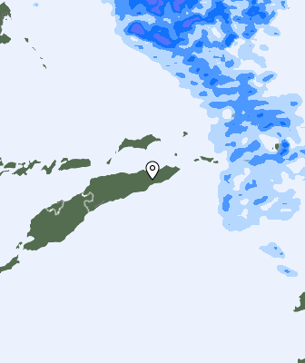 Niederschlagsprognose