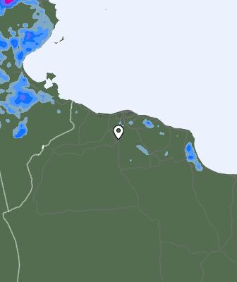 Precipitazioni