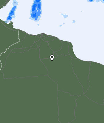 Precipitazioni