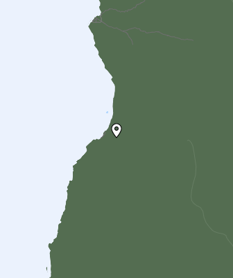 Nedbør