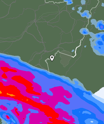 Precipitazioni