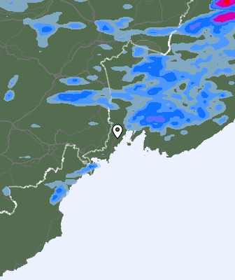 Precipitazioni