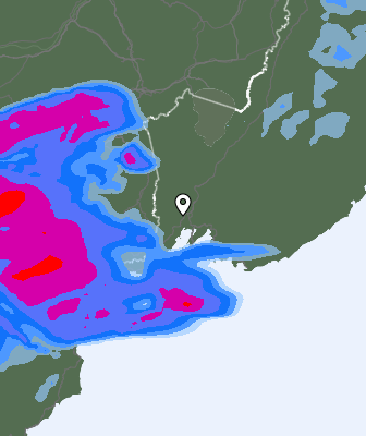 Precipitazioni