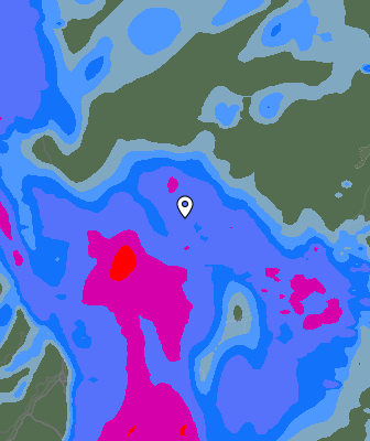 Niederschlagsprognose