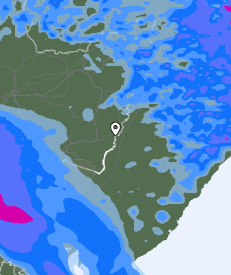 Precipitazioni