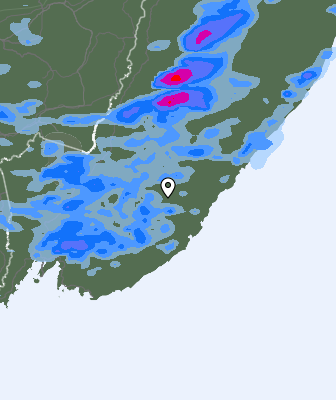 Precipitazioni