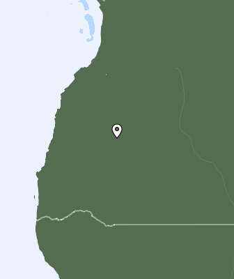 Nedbør