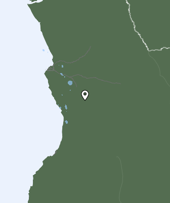 Niederschlagsprognose