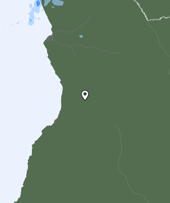 Niederschlagsprognose