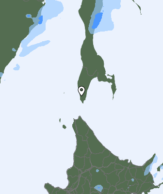 Neerslag