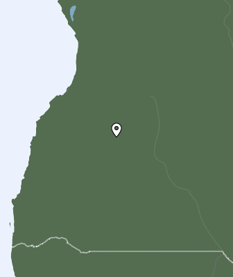 Niederschlagsprognose