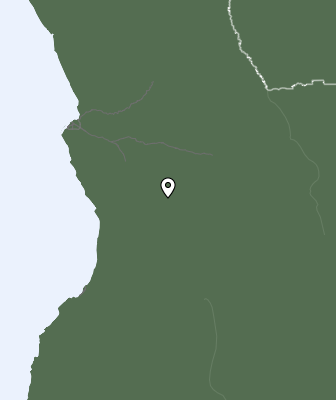 Niederschlagsprognose