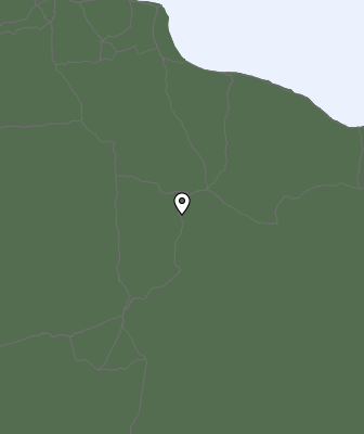Валежи